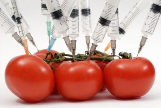 МОНИТОРИНГ ЗА ГМО РАСТИТЕЛЬНОГО ПРОИСХОЖДЕНИЯ В ПРОДУКТАХ ПИТАНИЯ