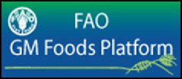  НЦЭ стал координационным центром по ГМО на платформе FAO